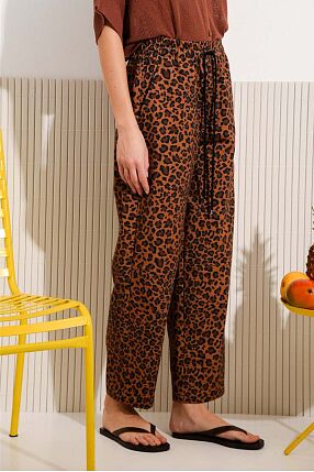 curry pants