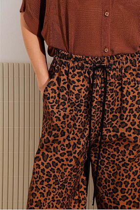 curry pants