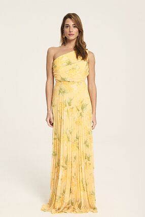 CENTERPIECE DRESS