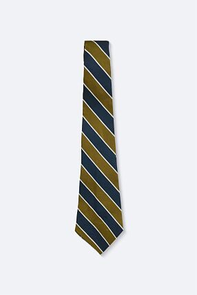 OCHRE TIE