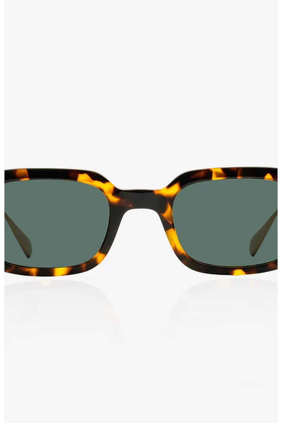 ORIEN TORTOISE